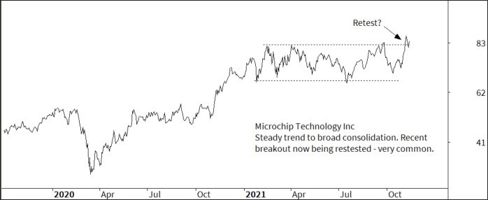 microchip